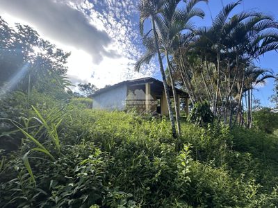 Sítio, 2 quartos, 4 hectares - Foto 3