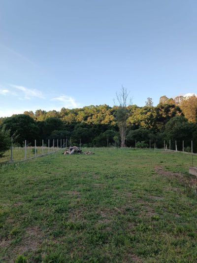 Terreno, 1100 m² - Foto 5