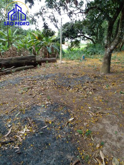 Terreno, 2 hectares - Foto 1