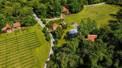 Sítio, 3 hectares - Foto 1