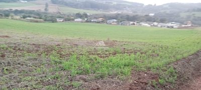 Terreno, 5 hectares - Foto 2