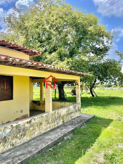 Fazenda, 3 quartos - Foto 5