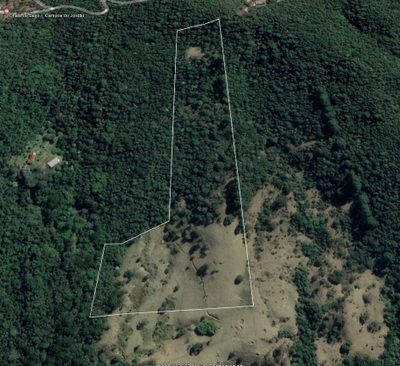 Sítio, 1 quarto, 100 m² - Foto 5