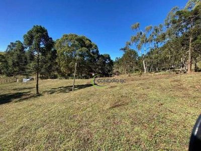 Terreno, 5 hectares - Foto 3