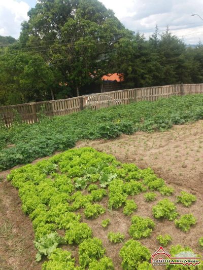 Terreno, 500 m² - Foto 2