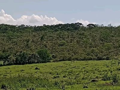 Fazenda, 101 m² - Foto 4