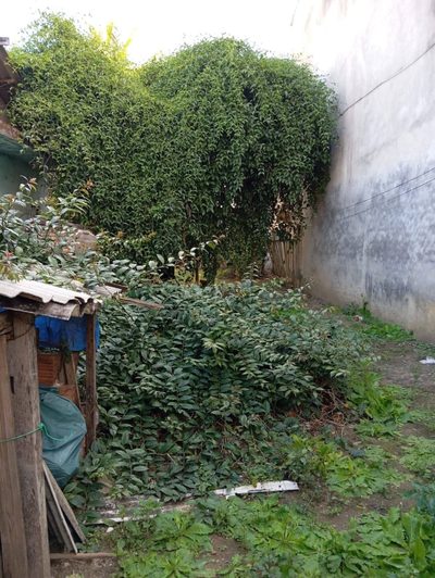 Terreno, 150 m² - Foto 1