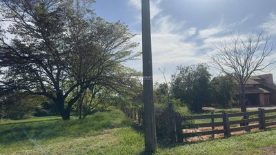 Terreno - Foto 5