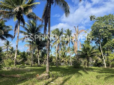 Terreno, 6 hectares - Foto 1