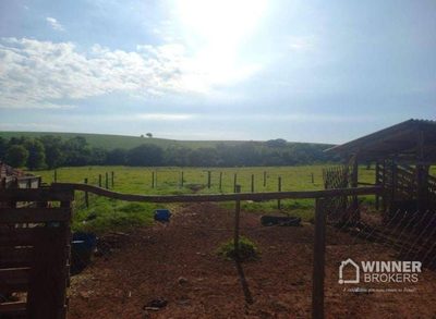 Chácara, 10000 m² - Foto 3