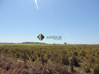 Terreno, 2 hectares - Foto 4