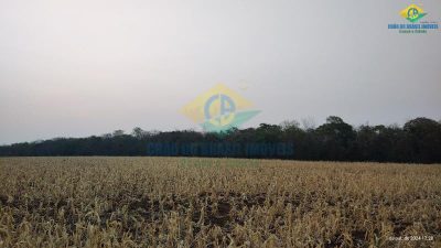 Chácara, 2 quartos - Foto 3