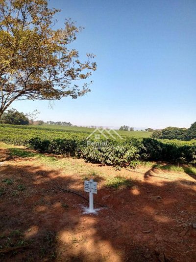 Fazenda, 1563 hectares - Foto 5