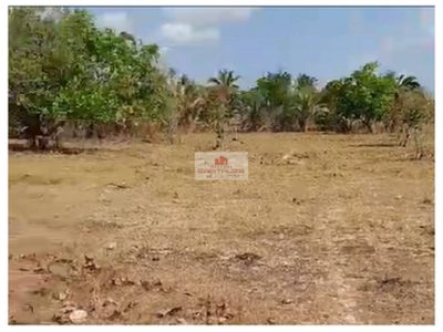 Fazenda, 3700 m² - Foto 5