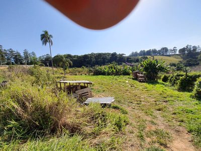 Terreno, 2 hectares - Foto 4