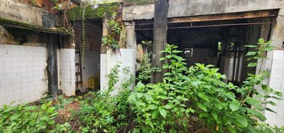 Terreno, 550 m² - Foto 2