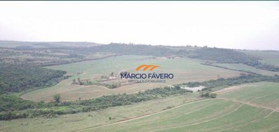 Fazenda, 293 hectares - Foto 1