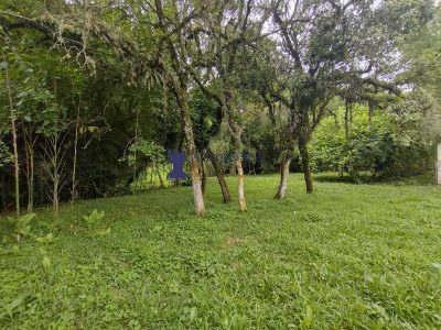Chácara, 3 quartos - Foto 4