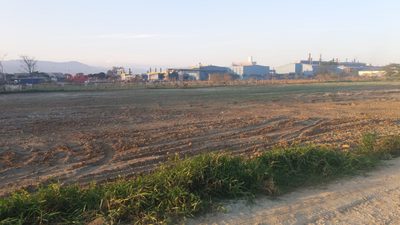 Terreno, 25 hectares - Foto 5