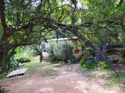 Terreno, 3 hectares - Foto 5