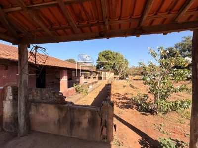 Chácara, 4 quartos, 53 hectares - Foto 2