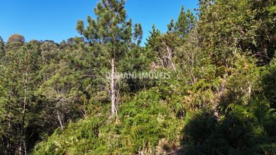 Terreno, 4125 m² - Foto 3