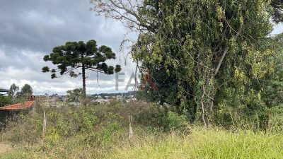 Terreno, 3150 m² - Foto 1