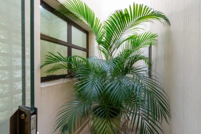 Prédio Inteiro, 190 m² - Foto 4