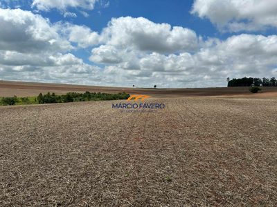 Fazenda, 278 hectares - Foto 2