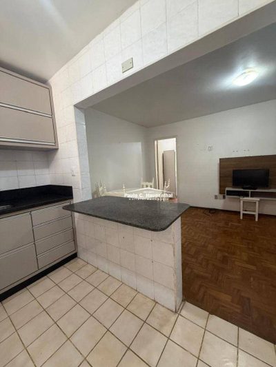 Apartamento, 2 quartos, 42 m² - Foto 2