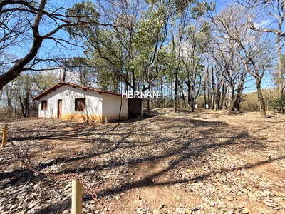Sítio, 4 quartos, 22 hectares - Foto 1