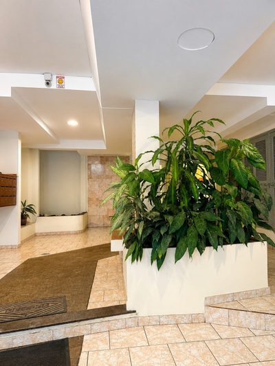 Apartamento, 1 quarto, 53 m² - Foto 2