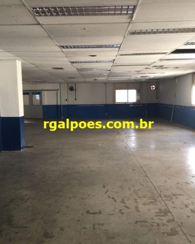 Sala-Conjunto, 800 m² - Foto 4