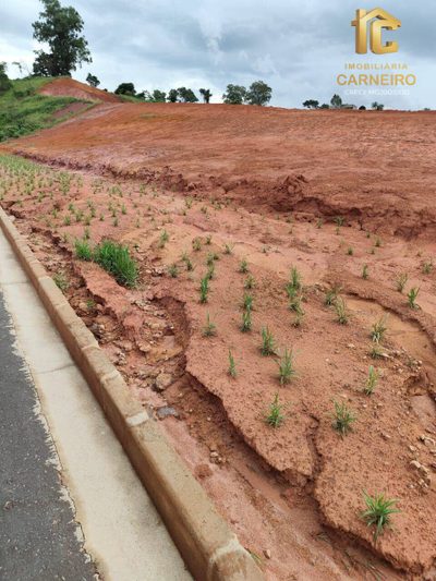 Terreno, 300 m² - Foto 5