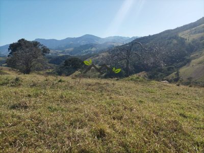 Terreno - Foto 5