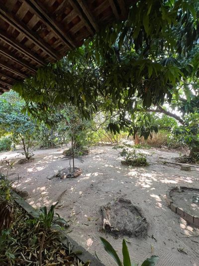 Fazenda, 3880 m² - Foto 3