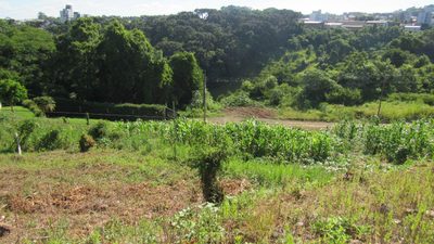 Terreno, 490 m² - Foto 2