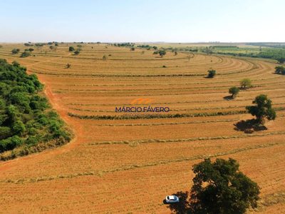 Fazenda, 153 hectares - Foto 3