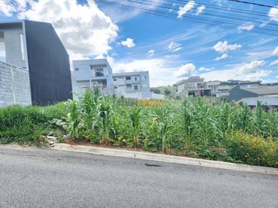 Terreno, 250 m² - Foto 3