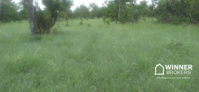 Fazenda, 5130 hectares - Foto 4