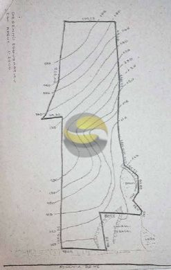 Terreno, 6 hectares - Foto 2