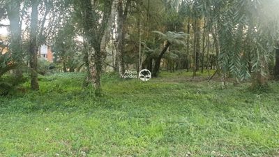 Terreno, 4 m² - Foto 4