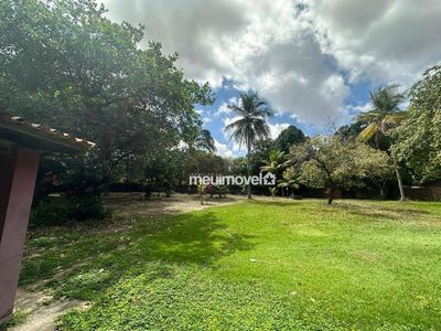 Sítio, 3 quartos, 3346 m² - Foto 2