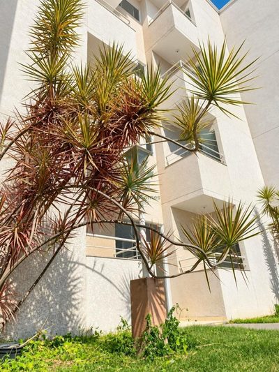 Apartamento, 2 quartos, 52 m² - Foto 1