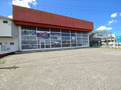 Depósito-Galpão - Foto 5