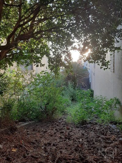 Terreno, 419 m² - Foto 5