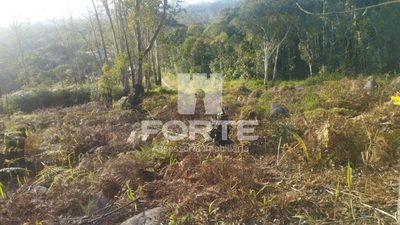 Terreno, 1000 m² - Foto 4