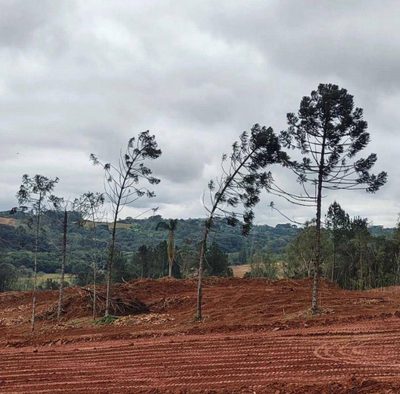 Loteamento e Condomínio, 817 m² - Foto 3