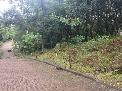 Loteamento e Condomínio, 885 m² - Foto 5