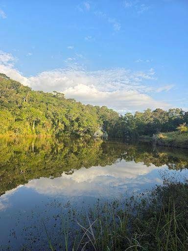 Chácara, 1 quarto, 2 hectares - Foto 1